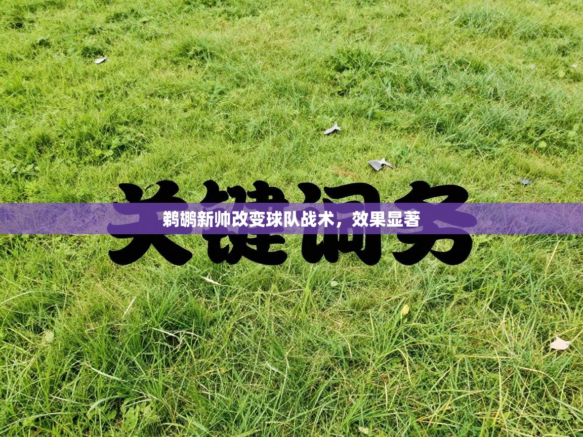 鹈鹕新帅改变球队战术，效果显著  第2张