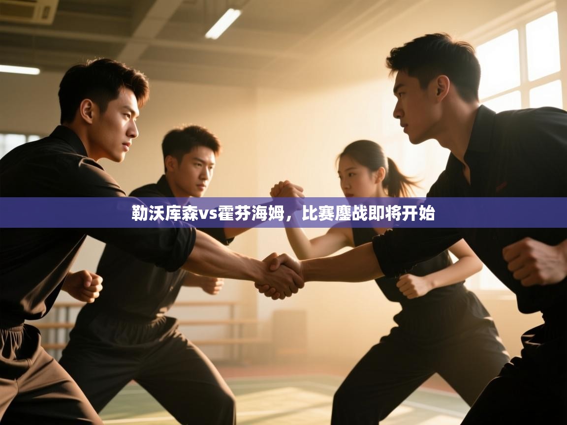 勒沃库森vs霍芬海姆，比赛鏖战即将开始  第2张