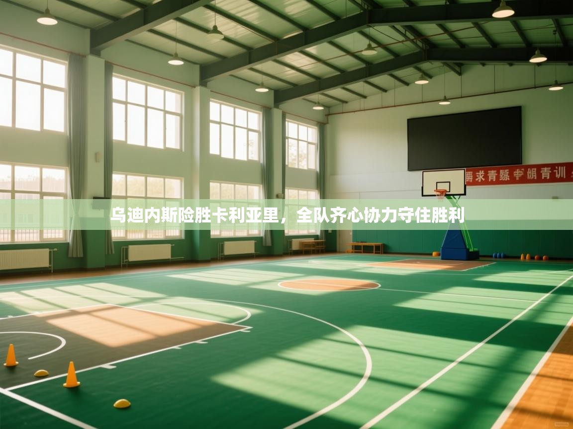 乌迪内斯险胜卡利亚里，全队齐心协力守住胜利  第2张